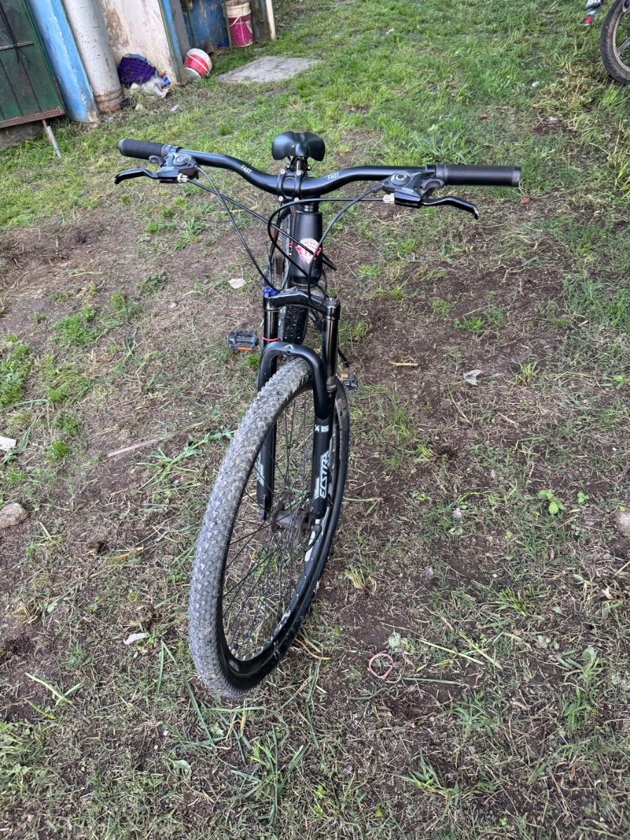 Bicicleta Firebird rod 29