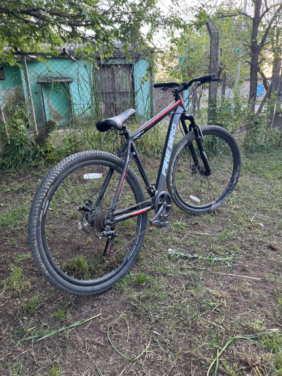 Bicicleta Firebird rod 29
