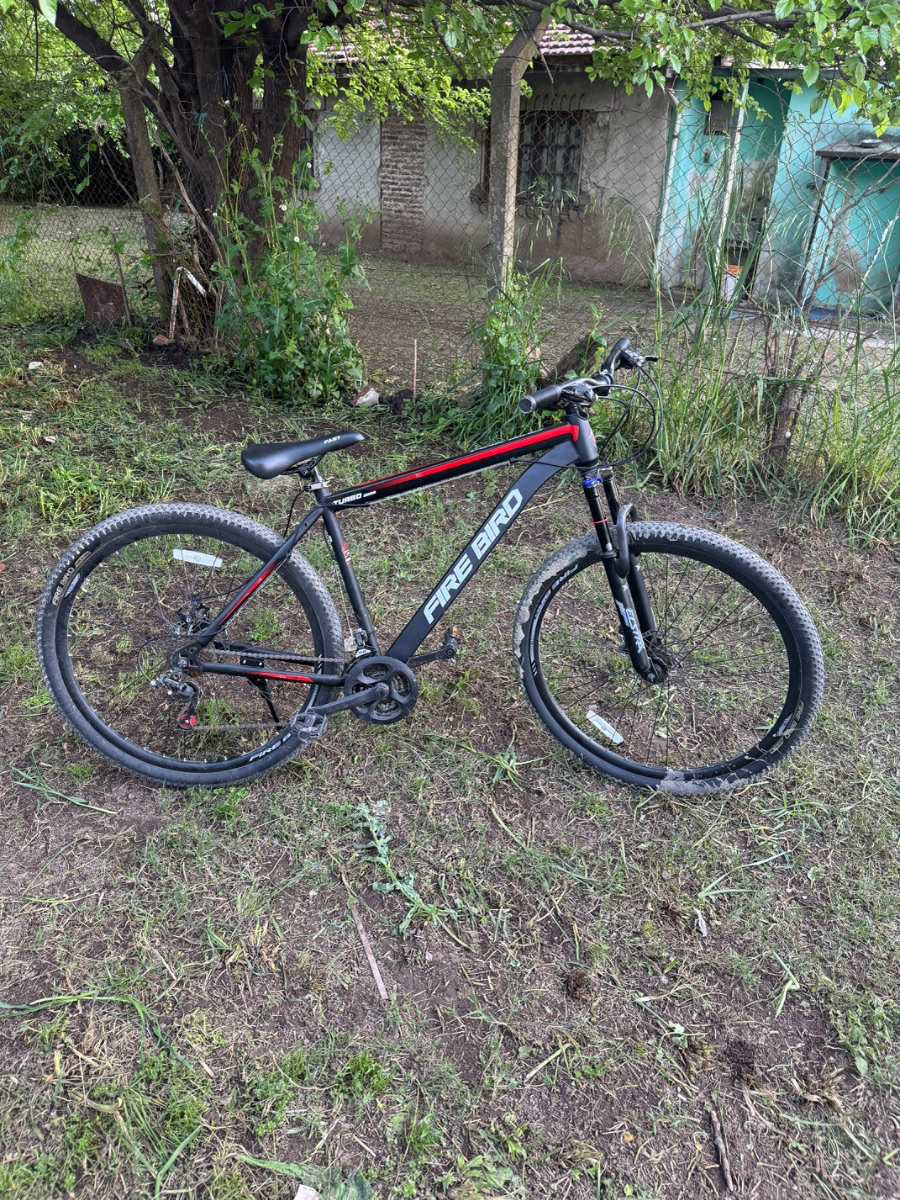 Bicicleta Firebird rod 29