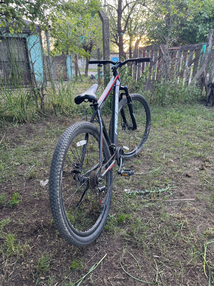 Bicicleta Firebird rod 29